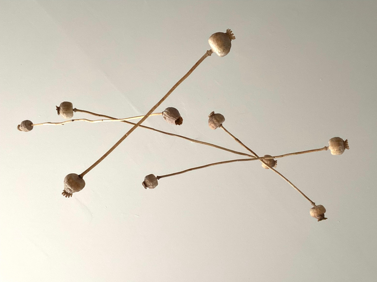 Maja Majer-Wallat  As ignorable as it is interesting