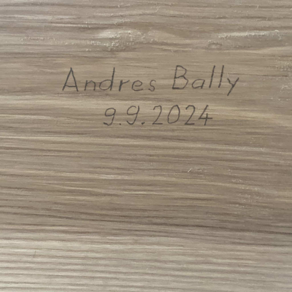 Bank '090924', Andres Bally, 2024