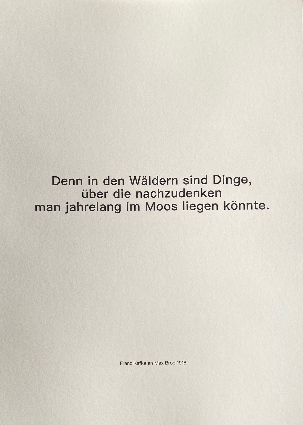 Grafik - Mappe 'HOLZ', Andres Bally und Michael Growe 2021